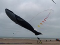 P1130539