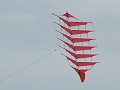 P1130541