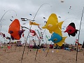 P1130564