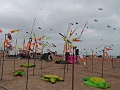 P1130566