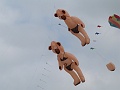 P1130597