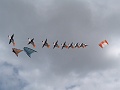 P1130598
