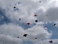 P1130605