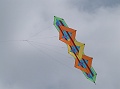 P1130632