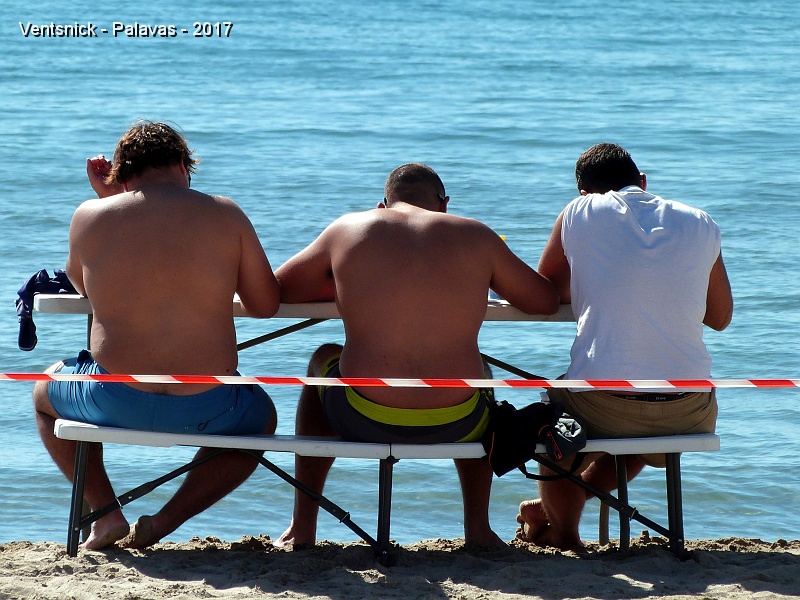 P1270404.jpg - Par chance, un concours de surf à lieu sur la plage, les juges sont confortablement installés ...