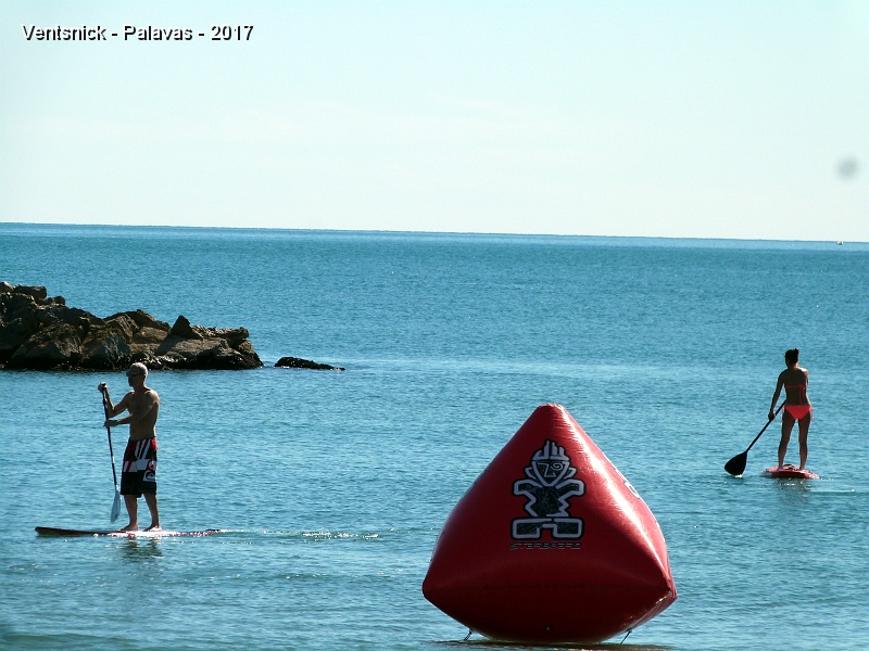 P1270420.jpg - ... standup paddle, un spectacle permanent anime la plage.