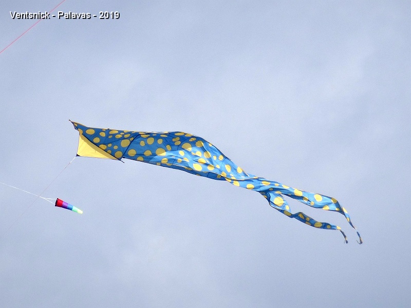 DSC03810.JPG - ... il se rétabli de façon inespérée, remonte en flêche, se stabilise et vole toute la journée du dimanche ! De nombreux cerfs-volants ont l'occasion de goûter l'eau turquoise de Palavas pendant tout le week-end !