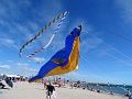 DSC03644