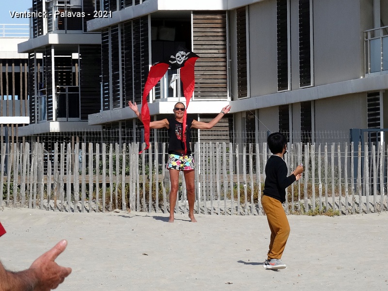 DSC07692.JPG - ... leur cerf-volant !
