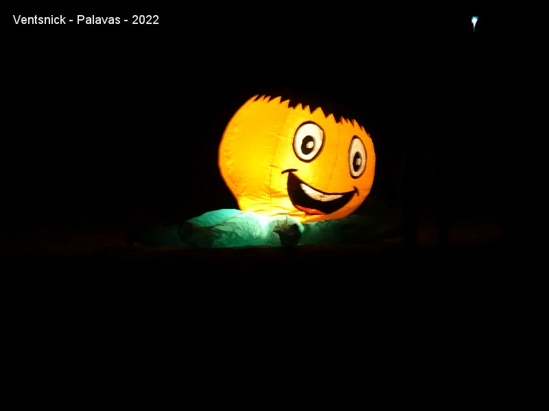 DSC00816.JPG - ... une citrouille, ...