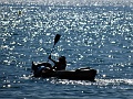 DSC03351