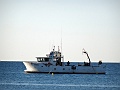 DSC03429