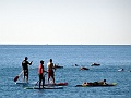 DSC03430