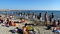 DSC03547