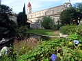 DSC03337