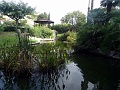 DSC03342