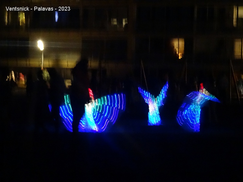 DSC03419.JPG - ... un spectacle féérique enchante petits et grands. La famille Bourguinon prête des capes lumineuses au public afin qu'il participe, lui aussi, à la fête !