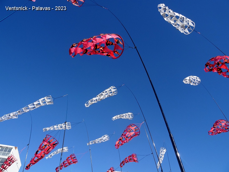 DSC03438.JPG - ... les manches à air de Robert Renaud se lèvent, ...