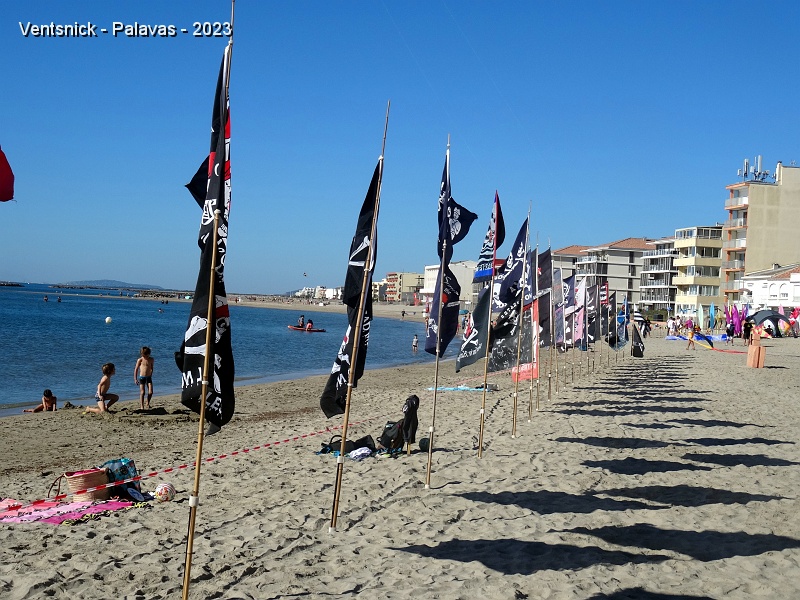 DSC03440.JPG - La longue ligne de drapeaux de Coco et Yves Diebold est en place.