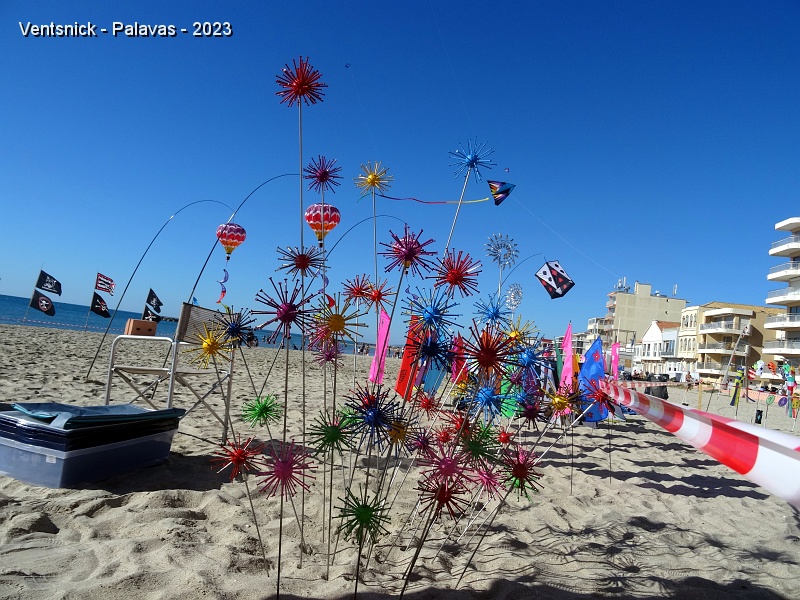 DSC03445.JPG - ... leur bouquet de chardons, ...