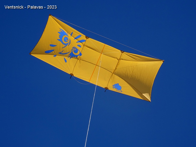 DSC03459.JPG - Notre Poster kite se plante dans le ciel pour l'après-midi, ...
