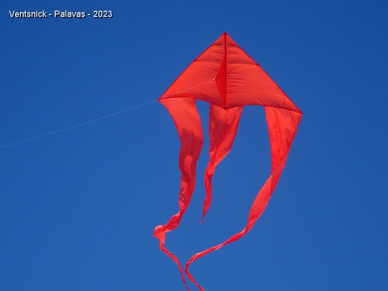 DSC03460.JPG - Pyro-Delta de Bruno Claes et ...
