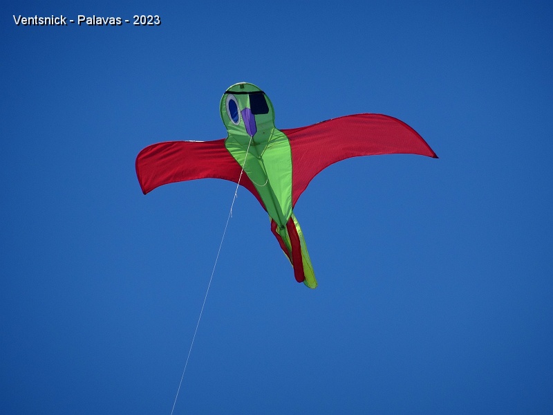 DSC03487.JPG - Yves et Coco laissent leur perroquet pirate s'envoler. (Maxime Rousselle leur a construit et offert ce cerf-volant .)