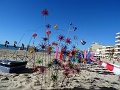 DSC03445