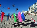 DSC03446