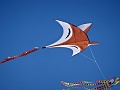 DSC03468