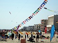 DSC03537