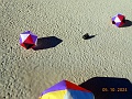 DSCN3217