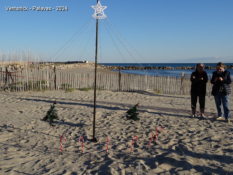 DSC05271.JPG - Des sapins, des cannes de Noël, une étoile qui couronne un chapiteau de girlandes : c'est Noël avant l'Heure pour Tit Annick et Ti Mimi !