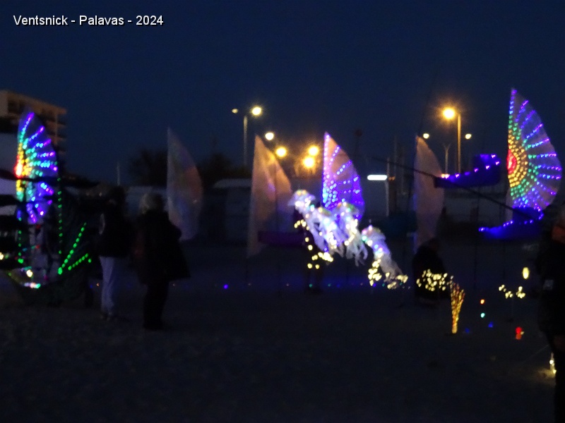 DSC05295.JPG - Les bannières lumineuses de Sylvie et de Bruno Claes scintillent dans la nuit. Les visiteurs sont au rendez-vous, nous répondons à leurs nombreuses questions, le public chemine entre les jardins lumineux. Quel bon moment de partage avec le public ! Place au Volovent dans la galerie suivante !