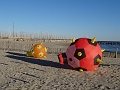 DSC05260