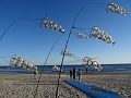 DSC05268