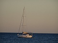 DSC05274