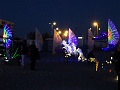 DSC05295