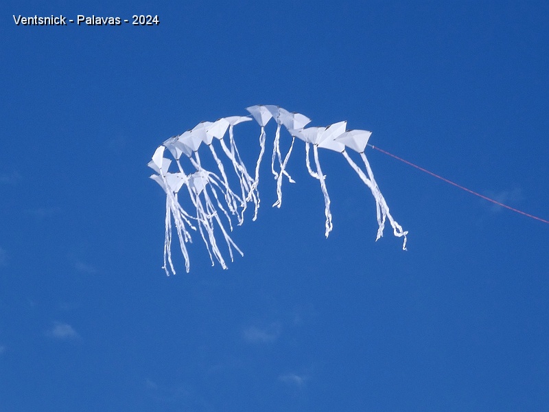 DSC05307.JPG - Le train de cerfs-volants de Bernard Ghesquière ne trouvera sa forme rectiligne qu'une fois sorti des turbulences du vent de terre !
