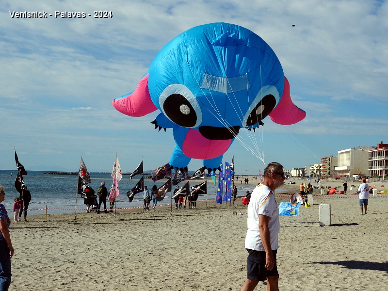 DSC05311.JPG - le Stitch d'Emmanuel Dejager plane au dessus de la plage sans qu'il soit canalisé par un porteur, ...