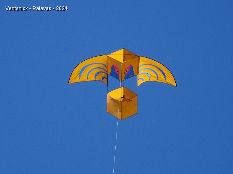 DSC05318.JPG - Nous sortons notre Roi des Airs, ...