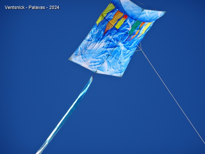 DSC05321.JPG - Nicole Lasson est au bas de la ligne de ce cerf-volant.