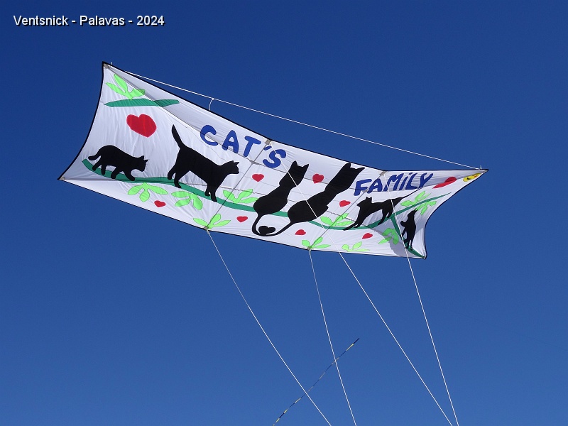 DSC05341.JPG - ... leur Poster Kite, ...