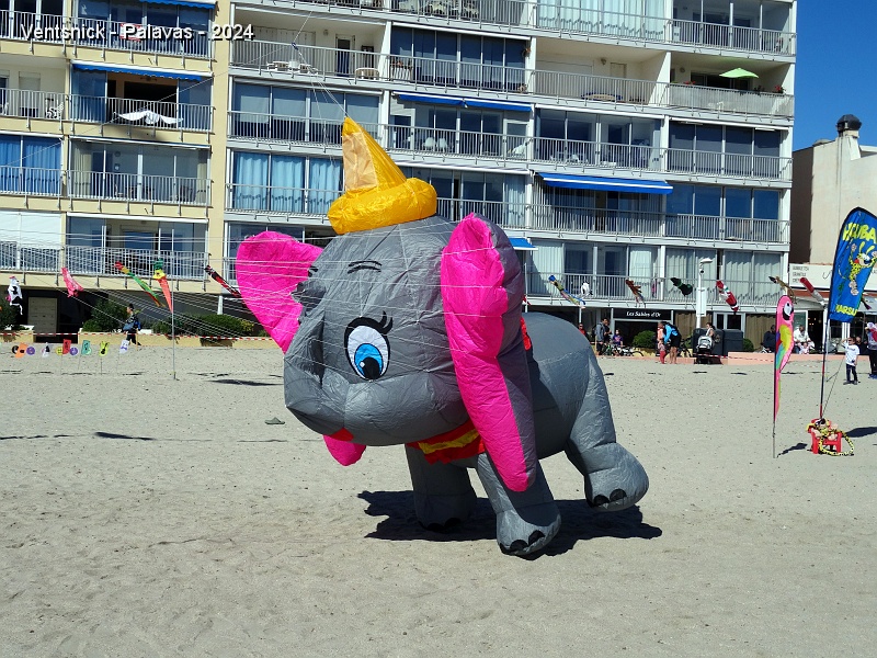 DSC05349.JPG - Vous-vous demandez sans doute pourquoi cet éléphant est si bien gonflé ?