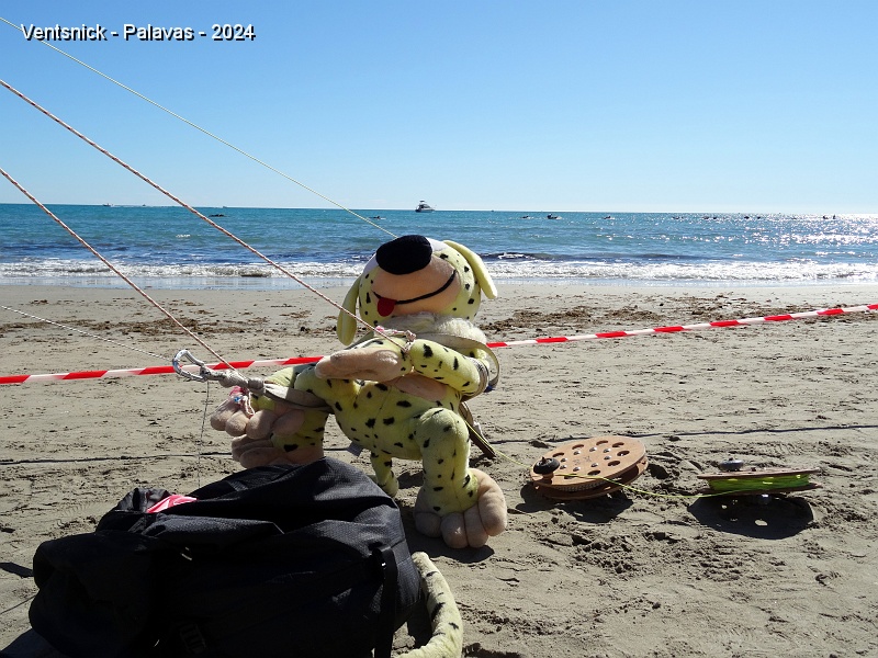 DSC05377.JPG - Dans la famille Marsupilami il y a le pilote et ...
