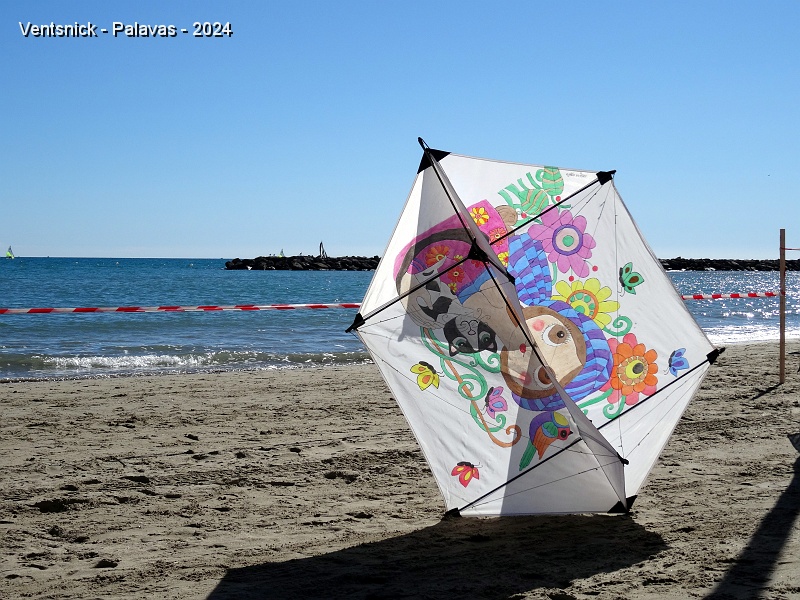 DSC05386.JPG - Le cerf-volant de Marce Xp-Kites poursuit son périple et fait l'objet de photos avec les cerfs-volistes qu'il n'a pas déjà croisés.