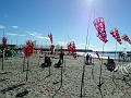 DSC05303