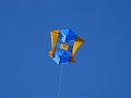 DSC05305