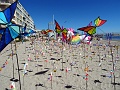 DSC05334