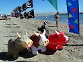 DSC05357